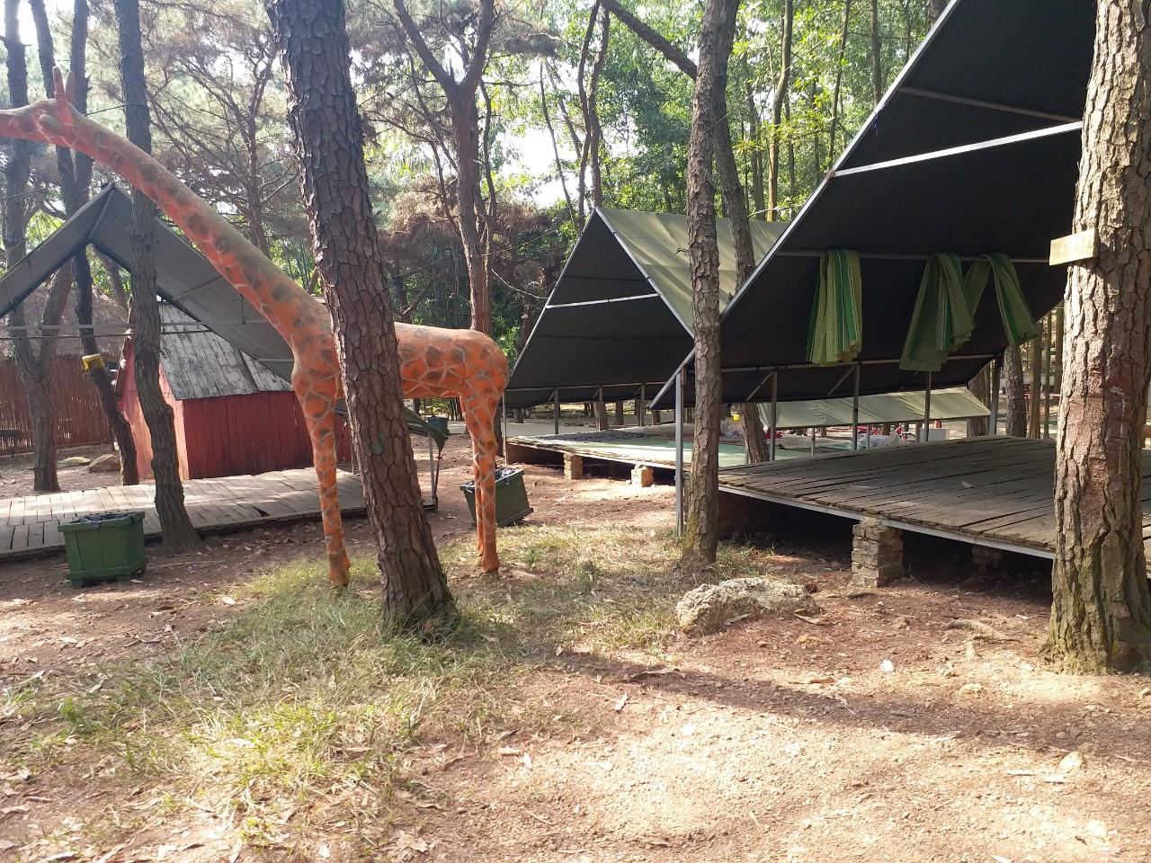 Bản Rõm địa điểm cắm trại cho cả nhà gần Hà Nội