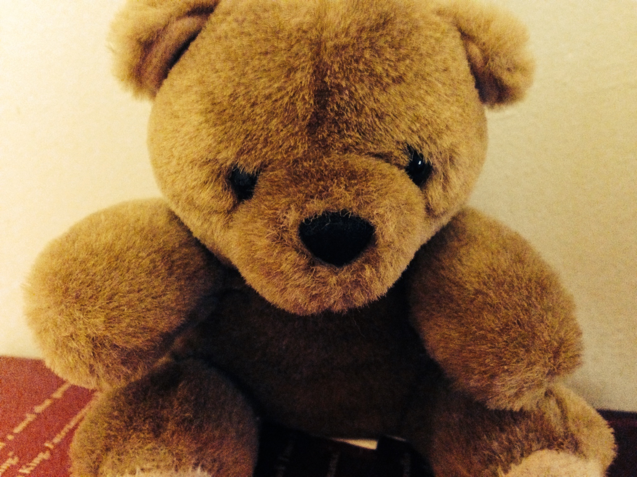 SCP-1048 - Một con gấu bông (teddy bear) màu nâu ngồi.