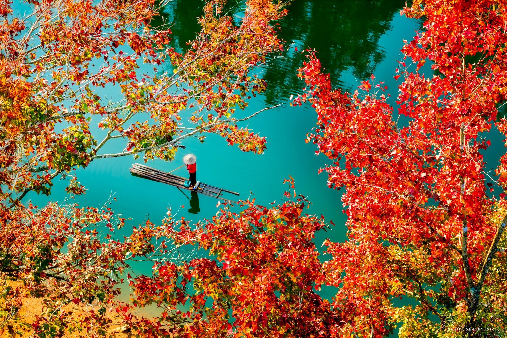 Mùa lá đỏ Hồ Bản Viết, Trùng Khánh, Cao Bằng đang vào độ đẹp nhất