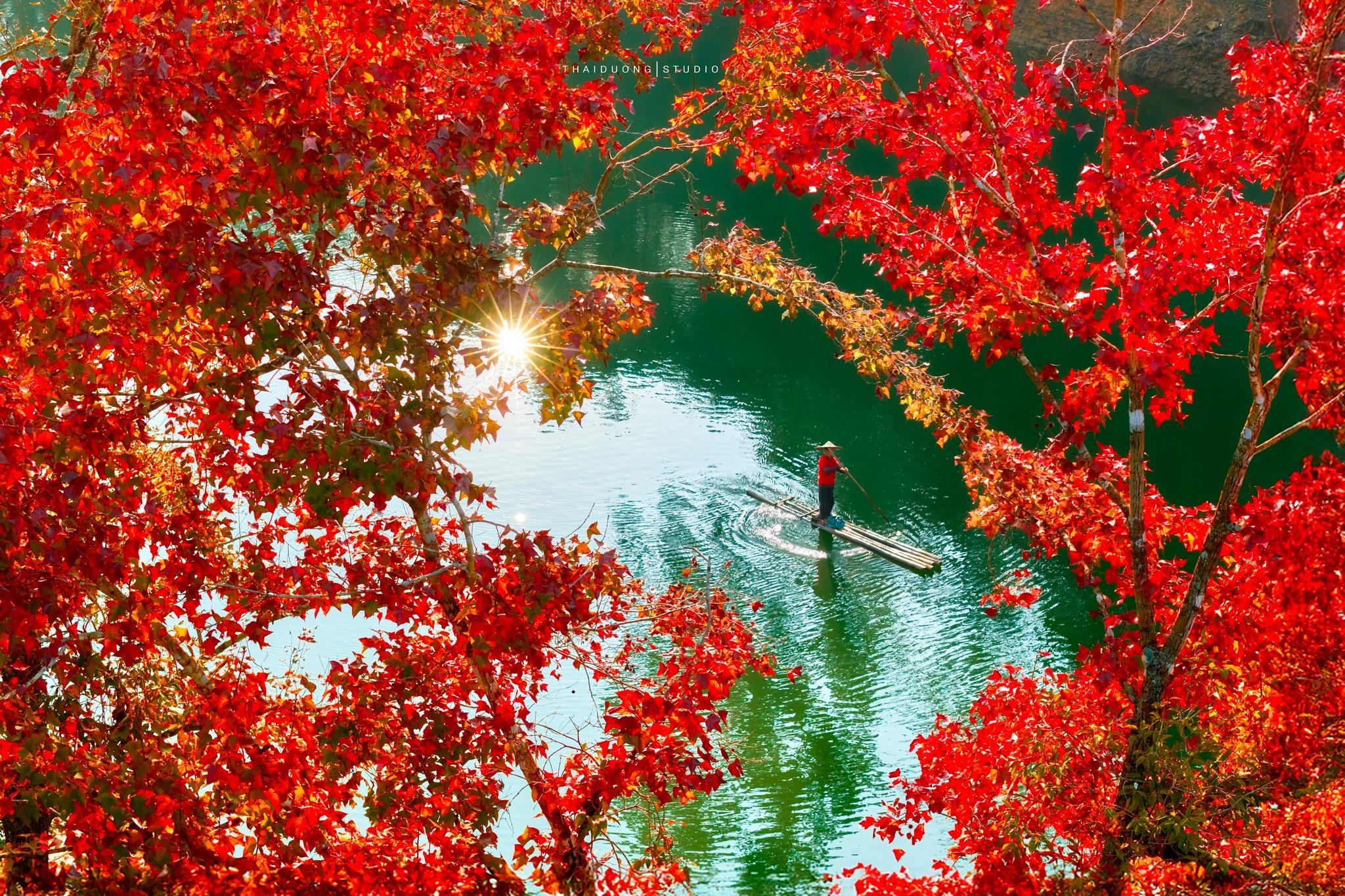 Mùa lá đỏ Hồ Bản Viết, Trùng Khánh, Cao Bằng đang vào độ đẹp nhất