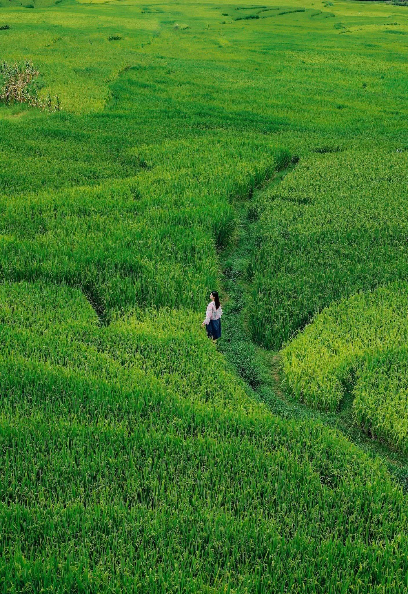 Khám Phá Tả Van Sa Pa Tháng 8 Đẹp Như Tranh