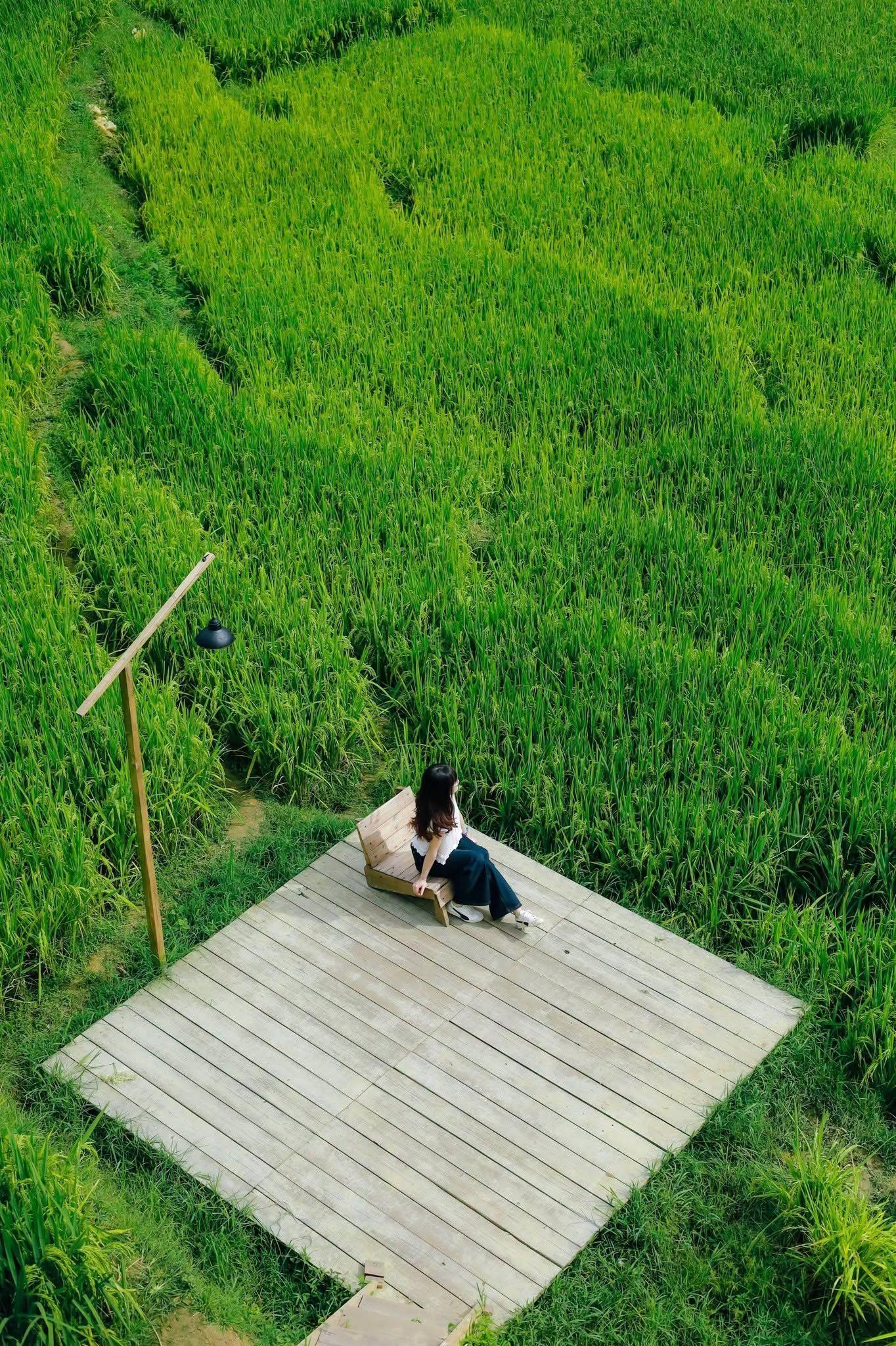 Khám Phá Tả Van Sa Pa Tháng 8 Đẹp Như Tranh