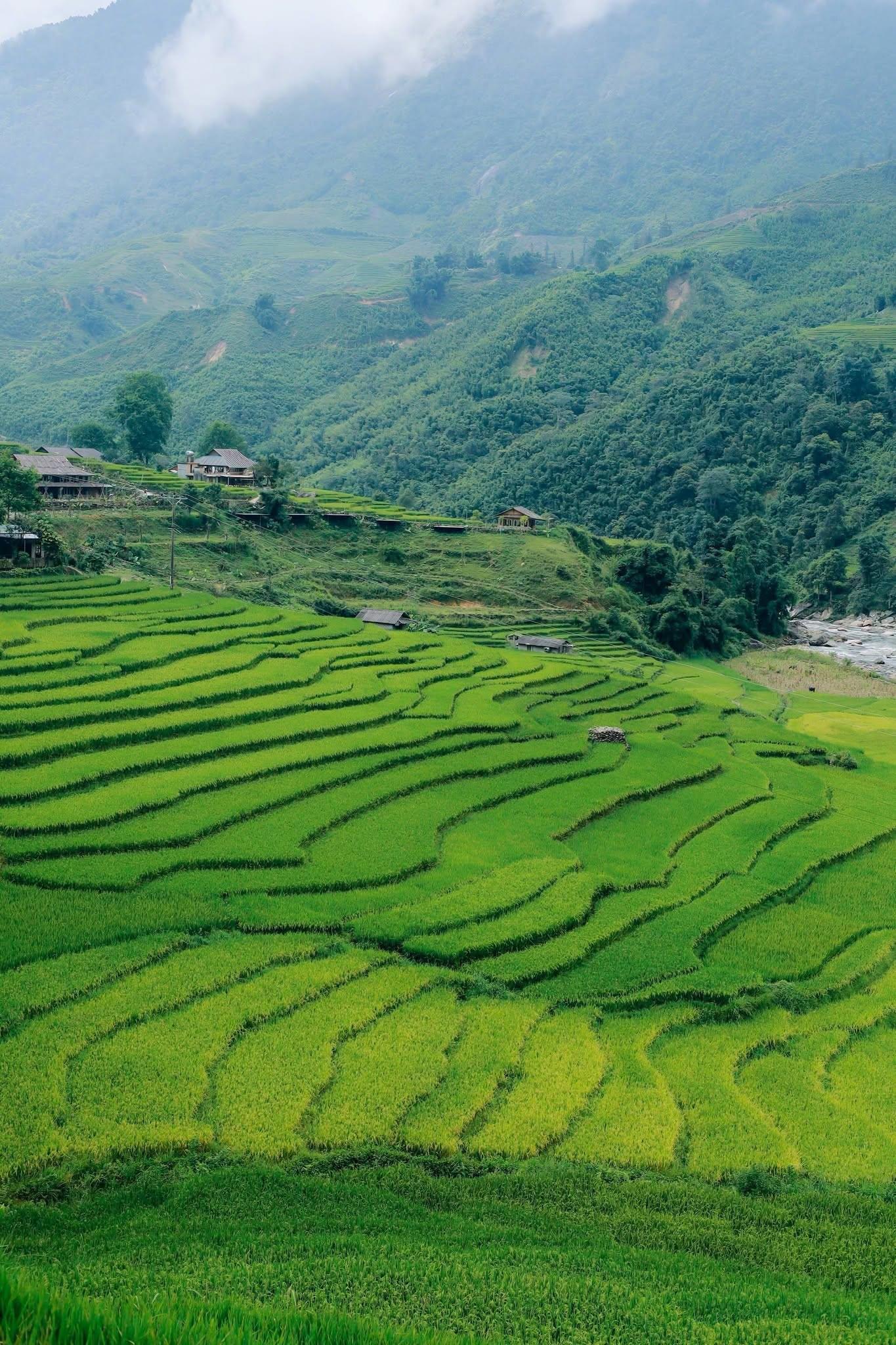 Khám Phá Tả Van Sa Pa Tháng 8 Đẹp Như Tranh