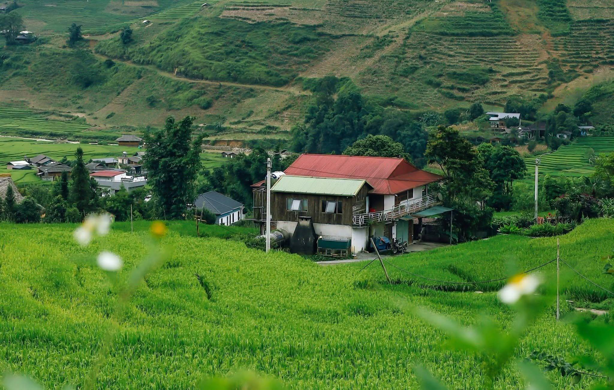 Khám Phá Tả Van Sa Pa Tháng 8 Đẹp Như Tranh