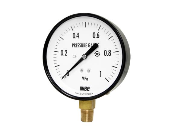 Đồng Hồ Wise, Đồng Hồ Nhiệt Wise, Đồng Hồ Nhiệt Độ Wise, Đồng Hồ Áp Wise P110