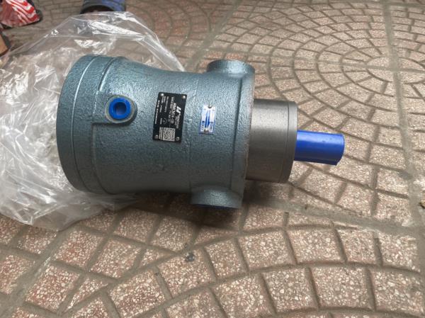 Bơm bánh răng, Bơm piston, Bơm cánh gạt, Bơm cong thủy lực chính hãng giá tốt