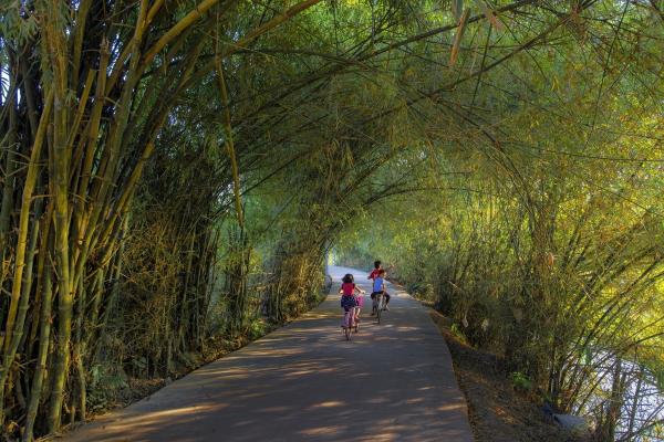 VẺ ĐẸP HOÀI CỔ CỦA LÀNG SẤU, LÀNG BẾN - LÀNG CỔ THUẦN VIỆT Ở BẮC GIANG