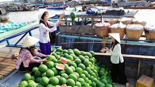Du lịch hè Cần Thơ 2026 khám phá văn hóa miệt vườn đặc trưng