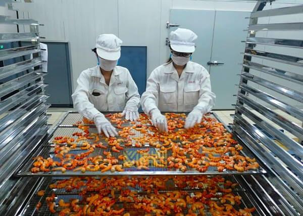 Hướng dẫn cách sấy tôm bằng lò sấy thực phẩm công nghiệp