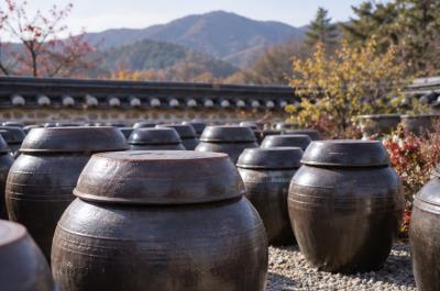 Korean kimchi and banchan: the craft of fermentation and a table built on sharing