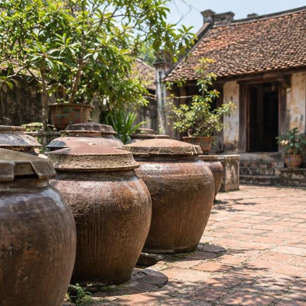 Chum tương trong sân nắng