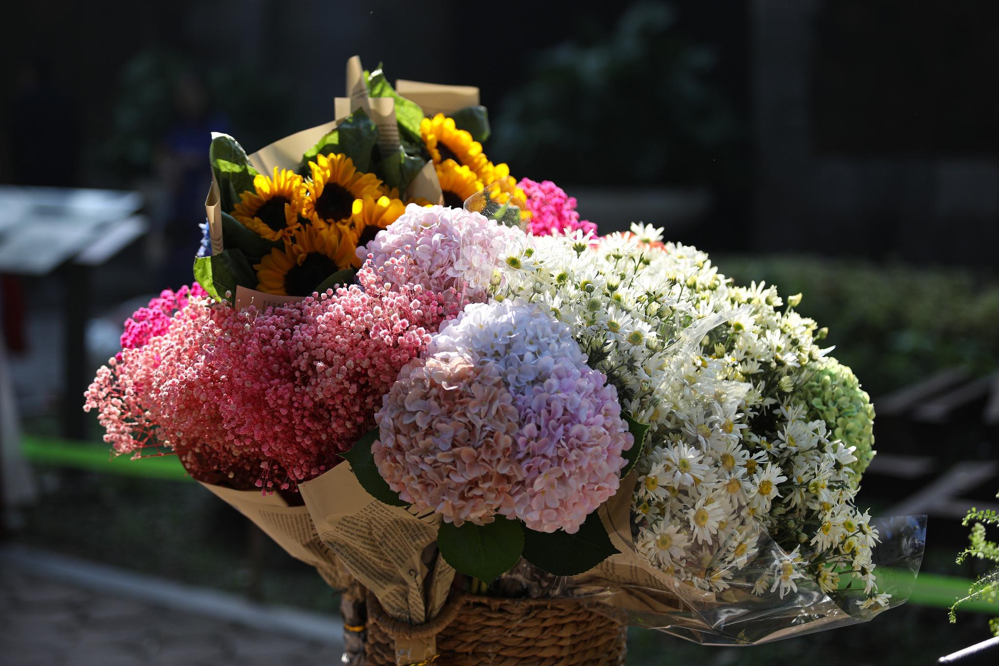 Góc phố Phan Đình Phùng - một trong những nơi cảm nhận Hà Nội một cách trọn vẹn nhất