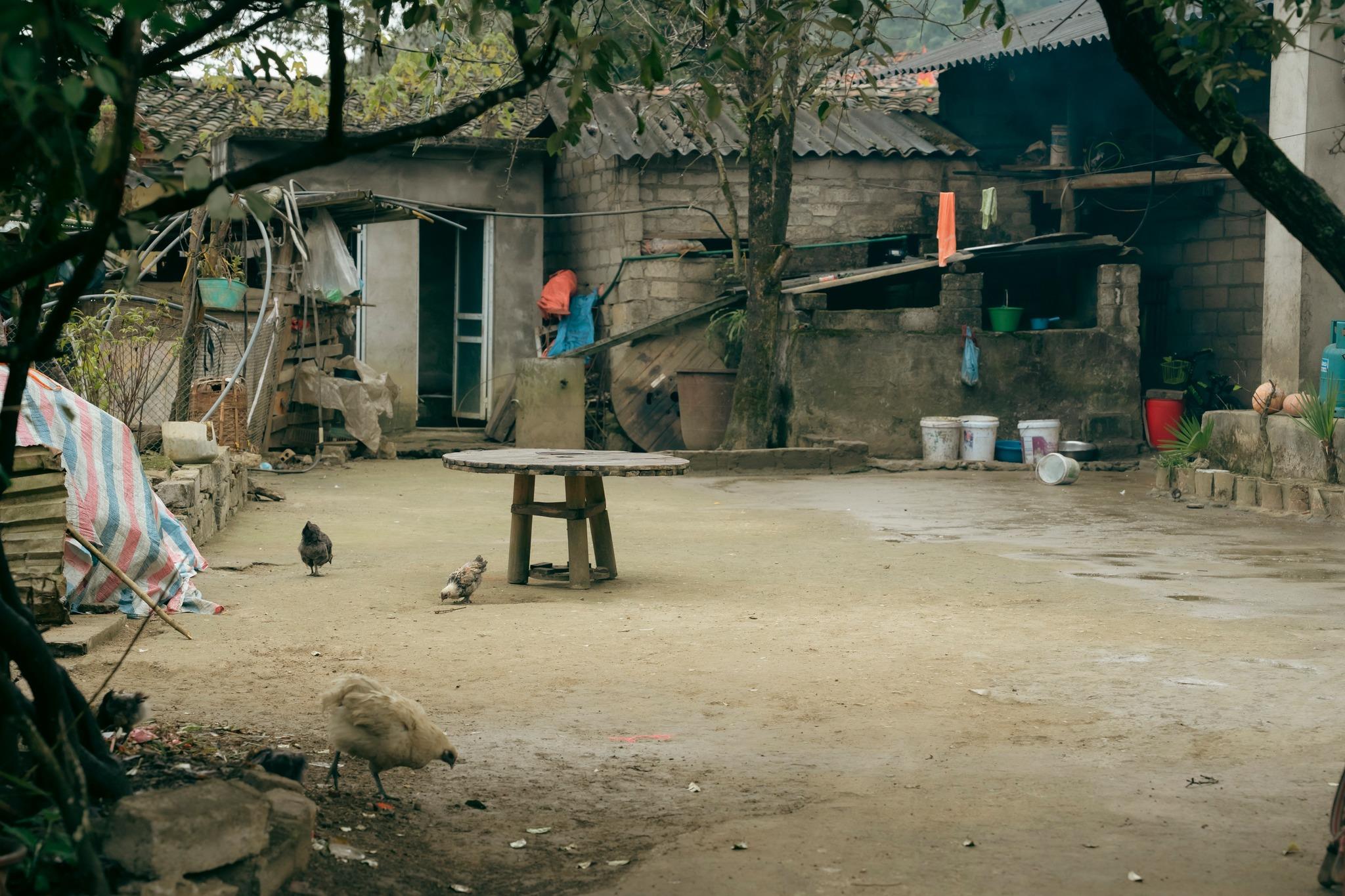 Nhịp sống một ngày bình thường ở Lô Lô Chải