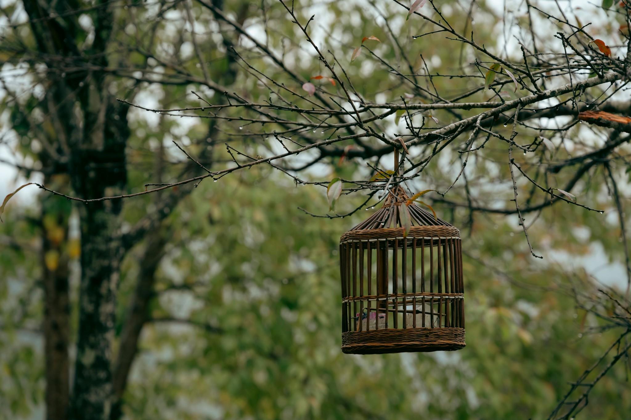 Nhịp sống một ngày bình thường ở Lô Lô Chải