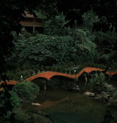 MEDI Thiên Sơn có một Ốc Đảo Xanh Ngọc giữa rừng