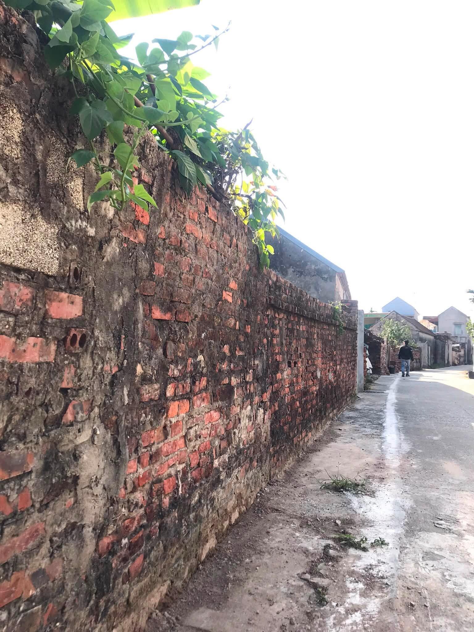 Chùa an cố - và đình làng An Cố - thái thuỵ - thái bình