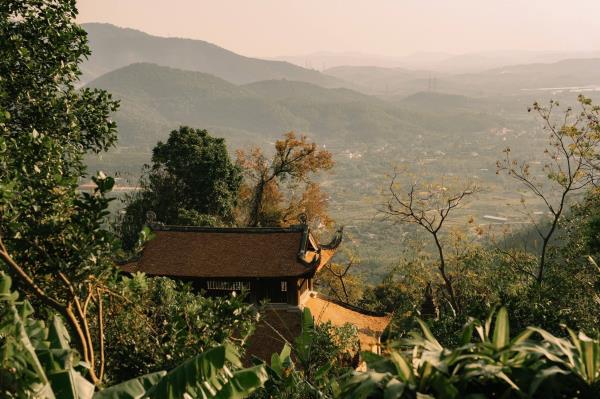 Rừng lá phong tại cổ tự Thanh Mai, Chí Linh Hải Dương