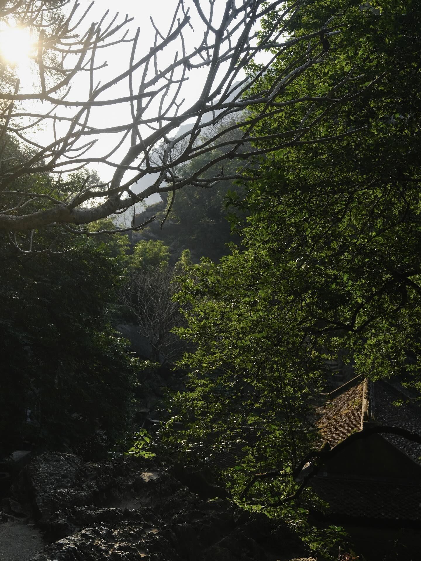 Góc nhìn đẹp của chùa Bích Động trong khu Tam Cốc từ cổng sau