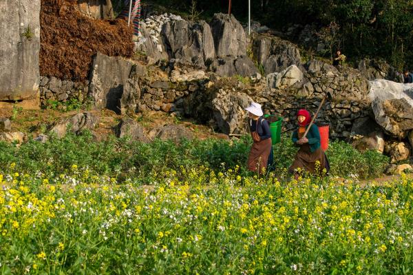 HÀ GIANG LẶP LẠI NHƯNG KHÔNG CŨ: CHUYẾN ĐI QUA NHỮNG NGÔI LÀNG CỔ TÍCH
