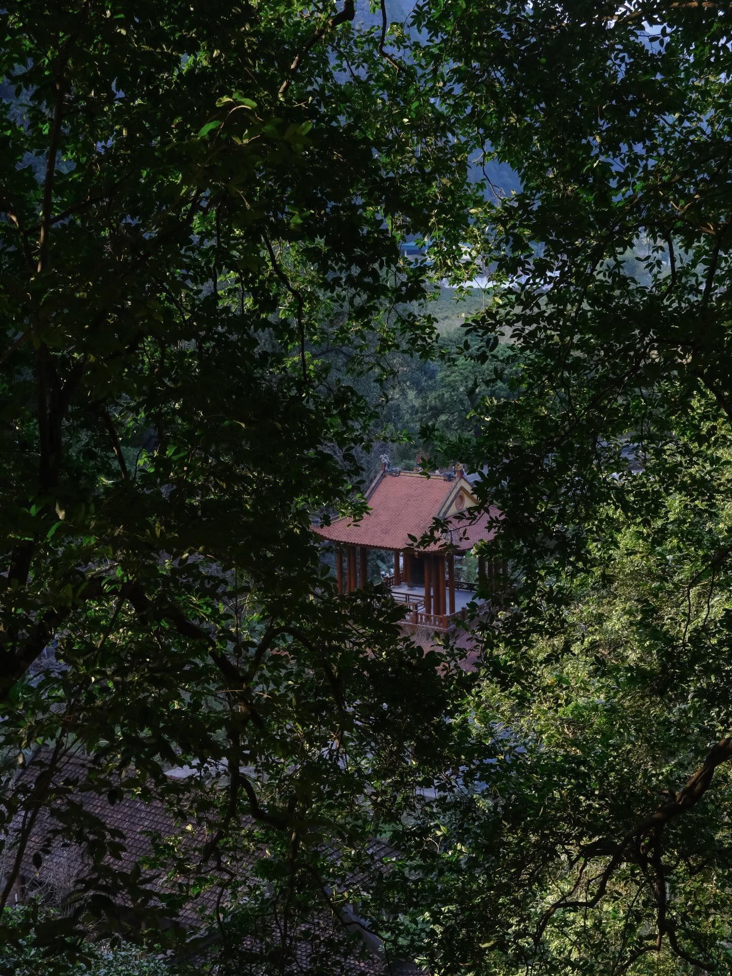 Góc nhìn đẹp của chùa Bích Động trong khu Tam Cốc từ cổng sau