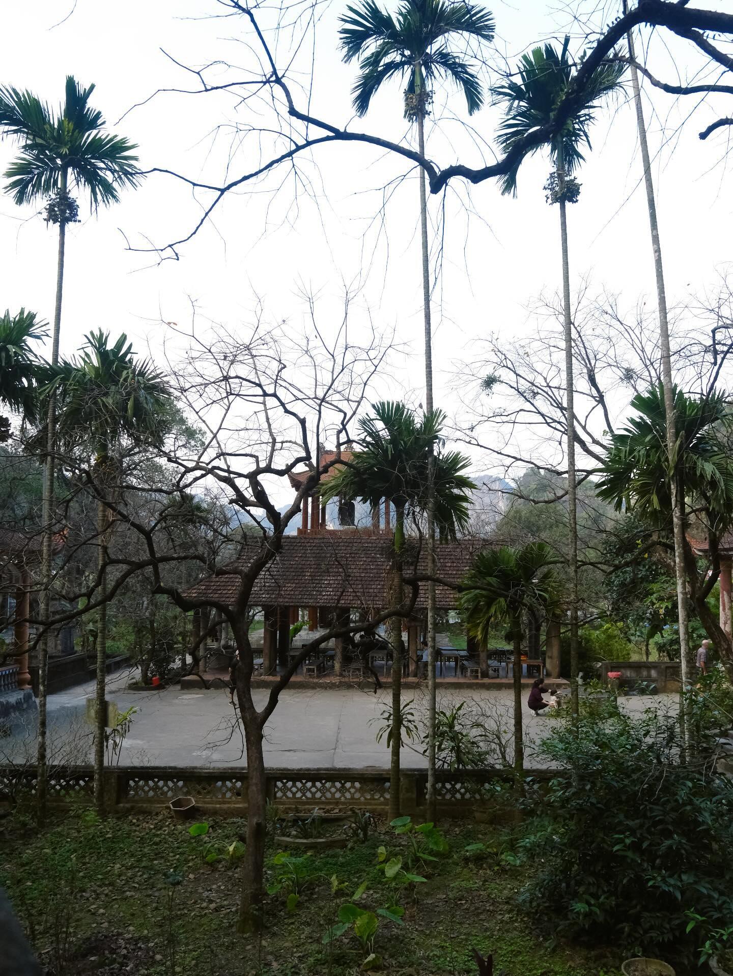 Góc nhìn đẹp của chùa Bích Động trong khu Tam Cốc từ cổng sau