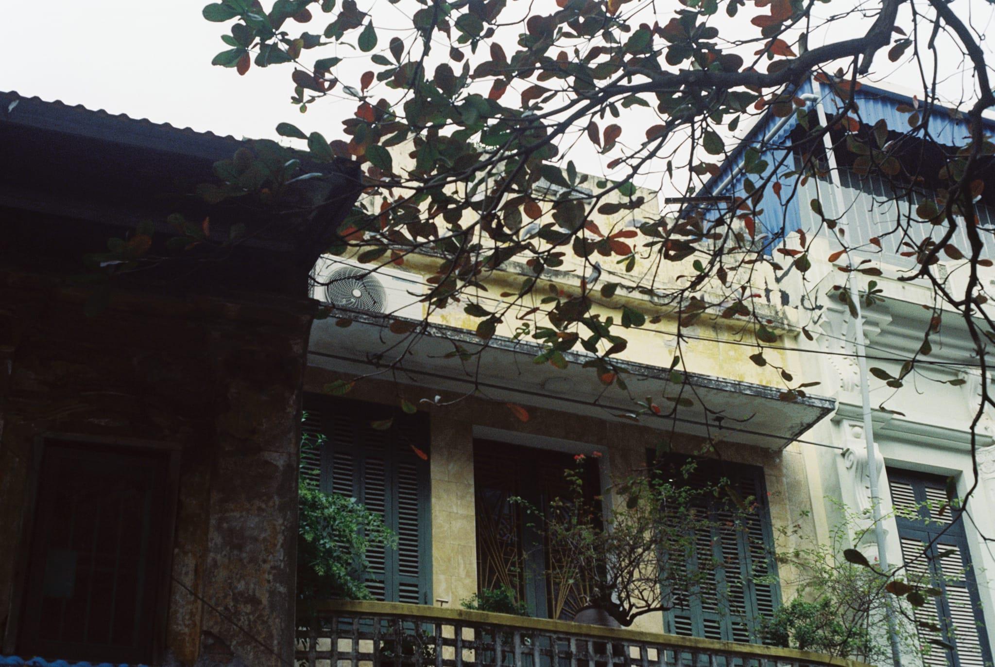 CẢM XÚC THÀNH NAM
