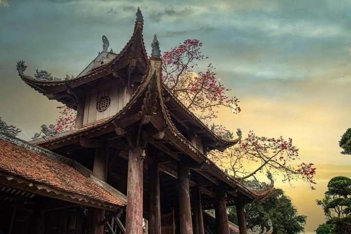 Chùa Nôm mùa hoa Gạo