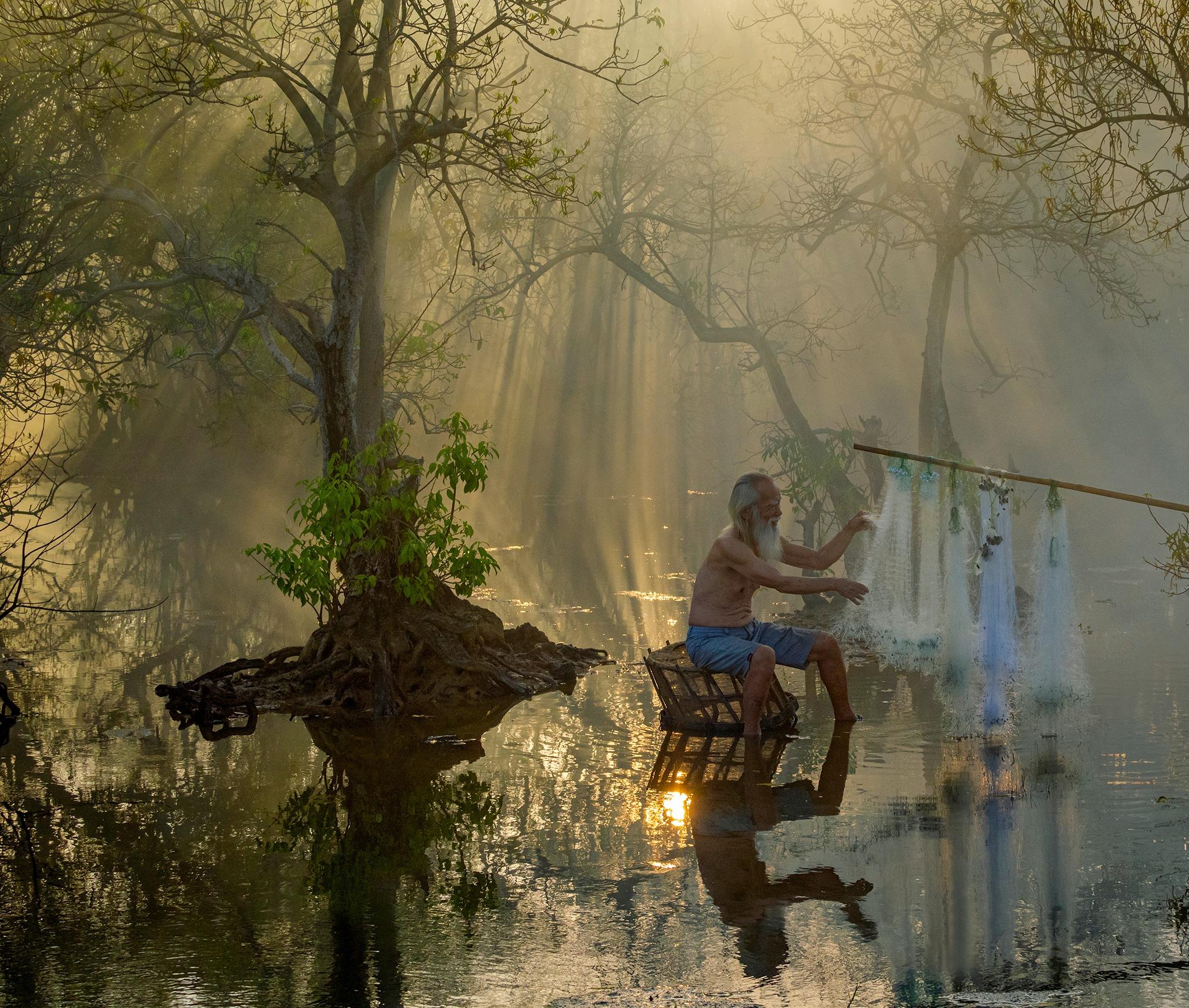 Mùa lá vàng và mùa rụng lá ở rừng ngập mặn Rú Chá