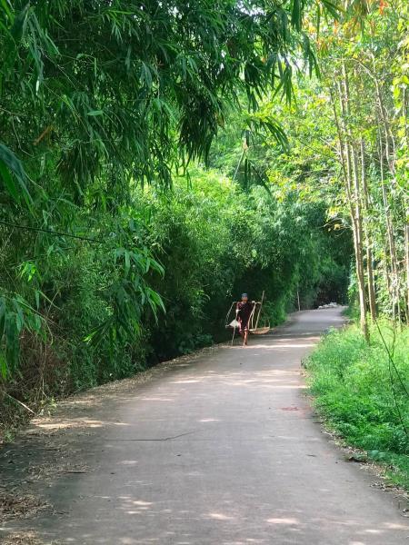 Một chiều lang thang, Làng Sấu - Tân Yên - Bắc Giang cũ nay là ( Bắc Ninh )