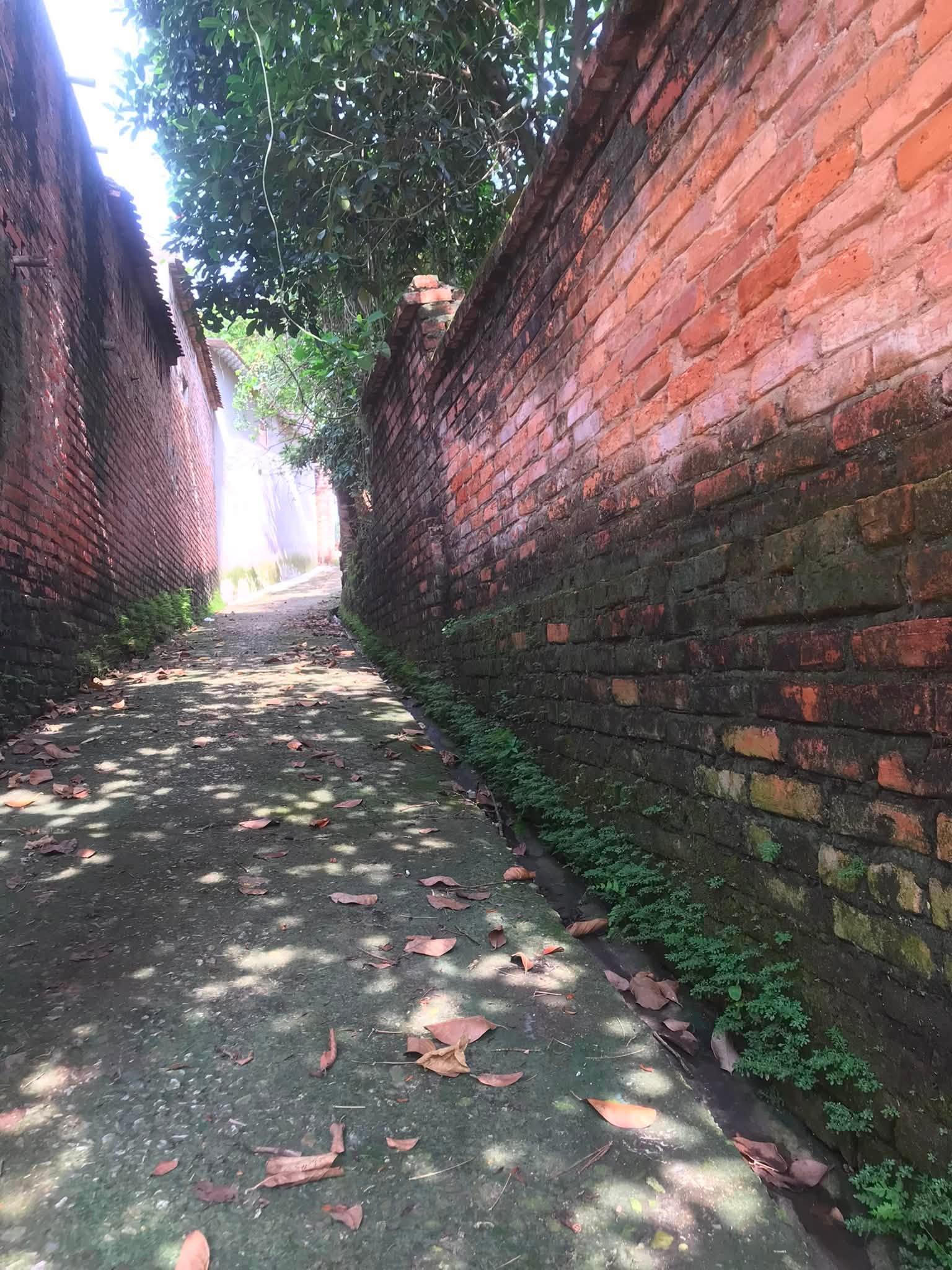 Một chiều lang thang, Làng Sấu - Tân Yên - Bắc Giang cũ nay là ( Bắc Ninh )