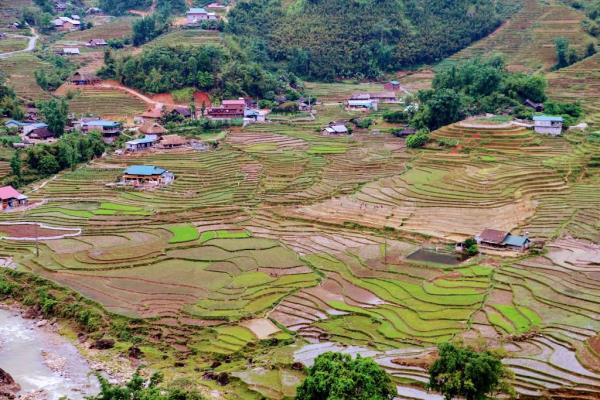 Làng Sử Pán Sapa – Khám phá vẻ đẹp nguyên sơ của bản làng Tây Bắc