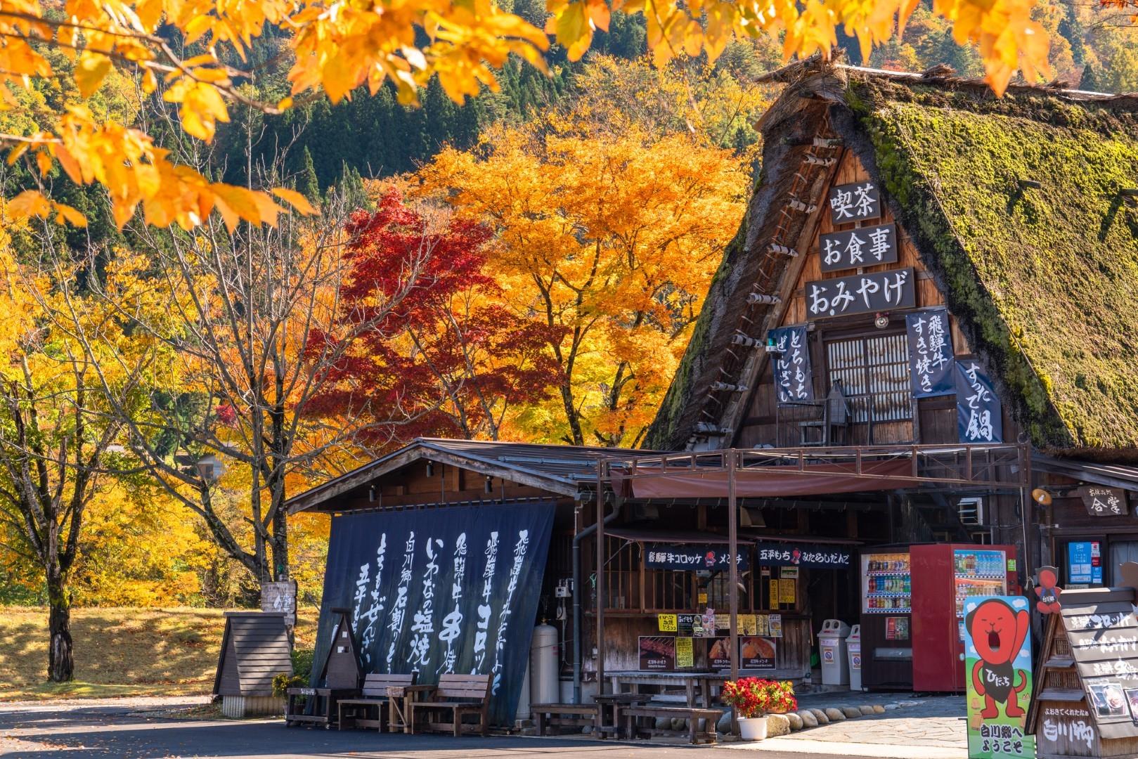 Ghé thăm làng cổ Shirakawago nằm bên dưới chân núi Hakusan