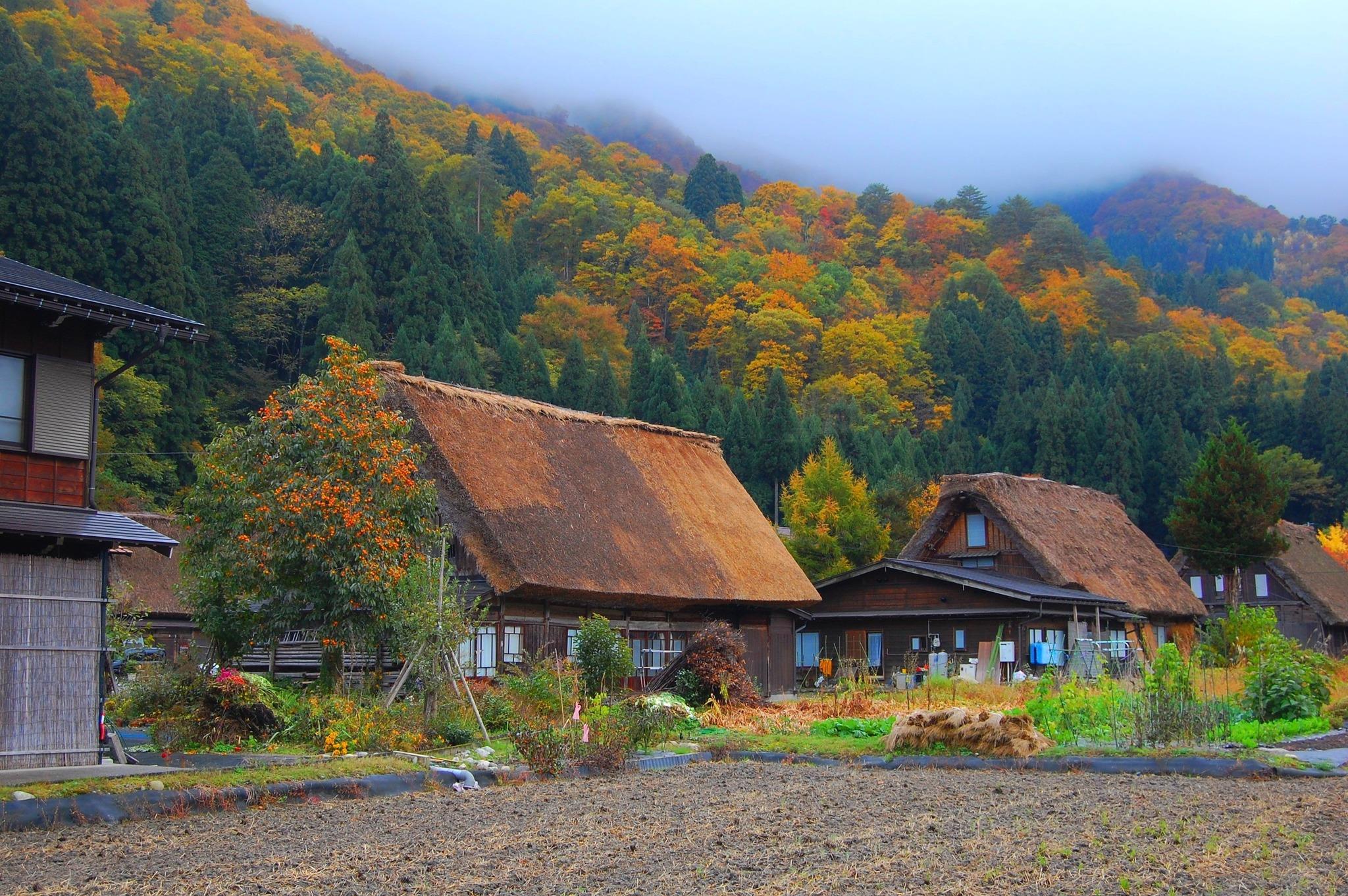 Ghé thăm làng cổ Shirakawago nằm bên dưới chân núi Hakusan
