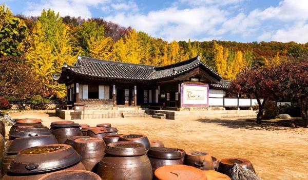 Korean Folk Village mùa Thu – Bức tranh xưa cũ giữa sắc lá vàng đỏ
